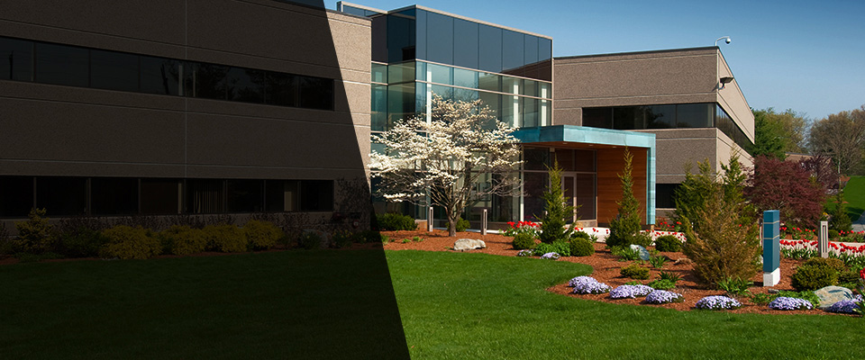 Lavonia Landscapers