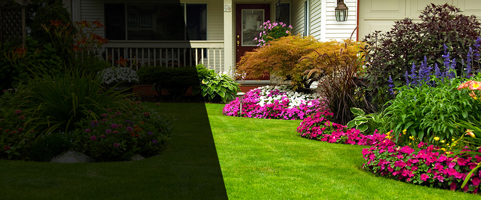 Lavonia Landscapers