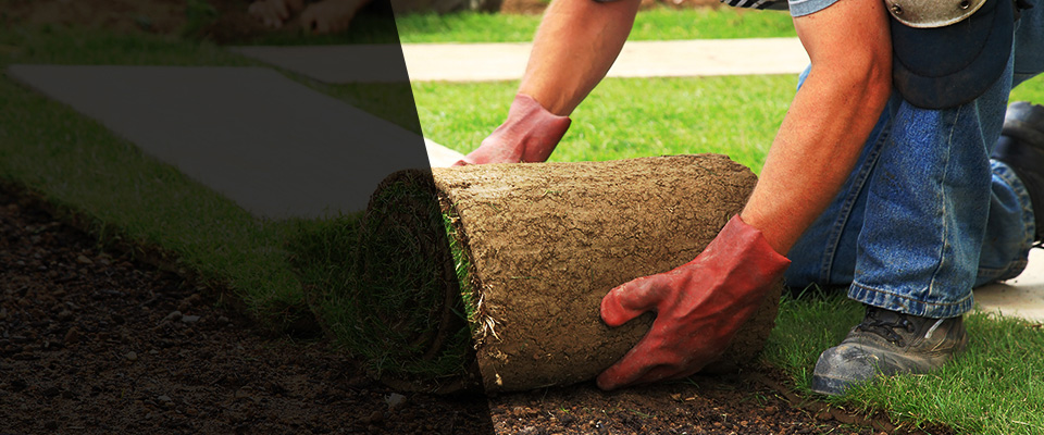 Lavonia Landscapers